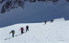 东北哈尔滨亚布力雪乡双卧六日游（雪乡真好）