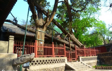 云台山9.png